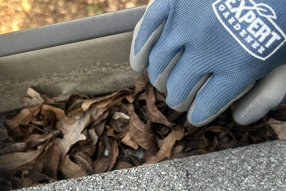 Gutter Cleaning Longwood FL