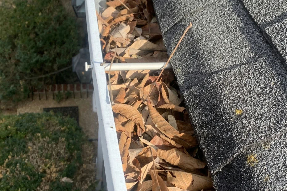 Gutter Cleaning Longwood FL