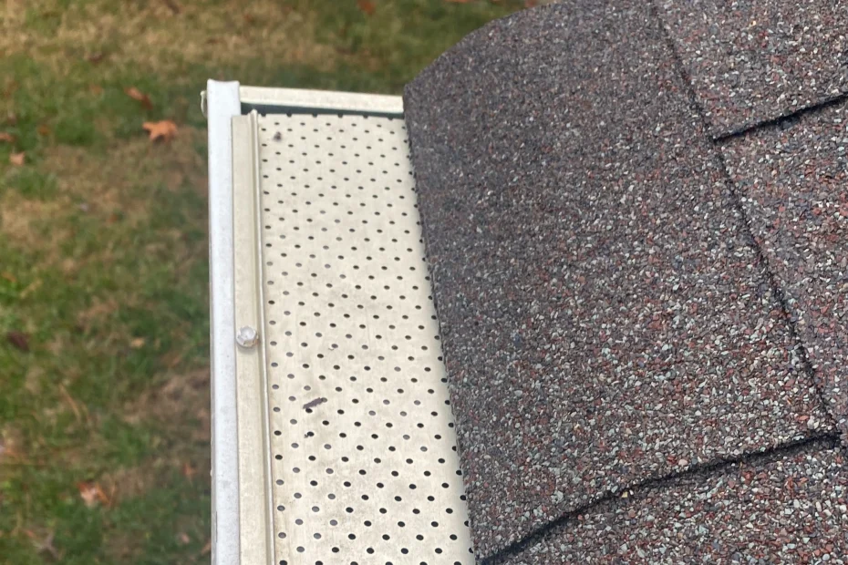 Gutter Cleaning Longwood FL