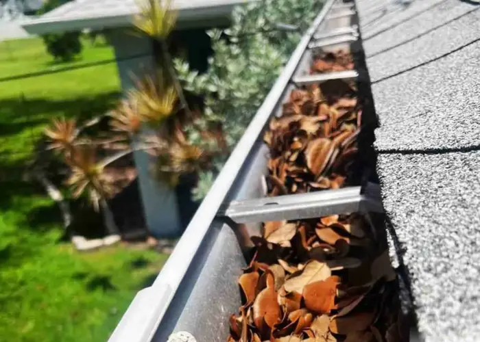 Gutter Cleaning Longwood FL home page